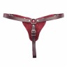 Трусики с Кольцом для Страпона Lady's Arsenal